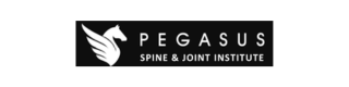 1-1-1pegasus